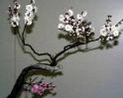 Prunus Mume